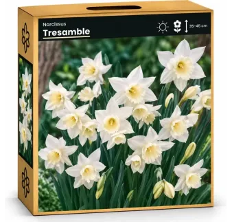 Narcis Tresamble