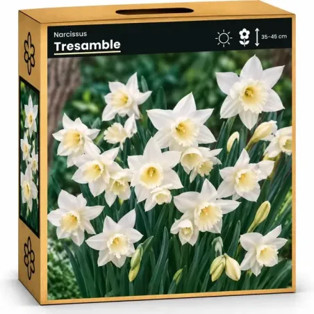 Narcis Tresamble