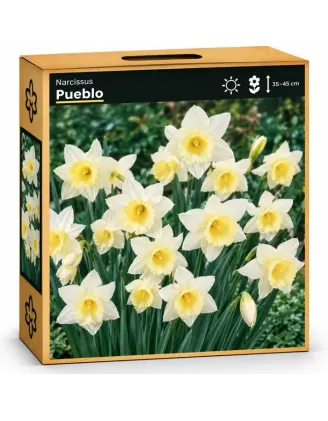 Narcis Pueblo
