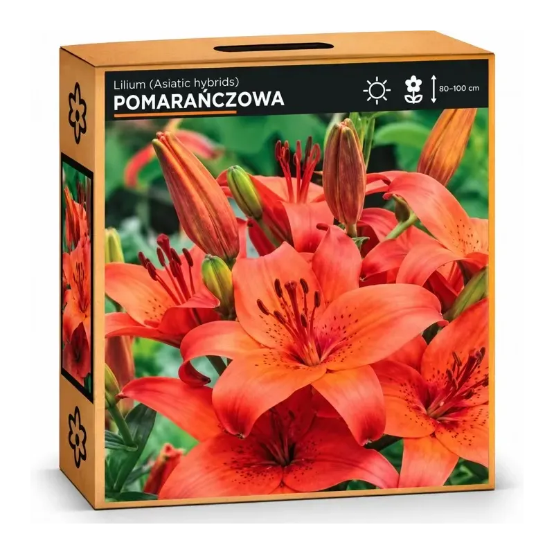 Ľalia Oranžová Ľalia Oranžová