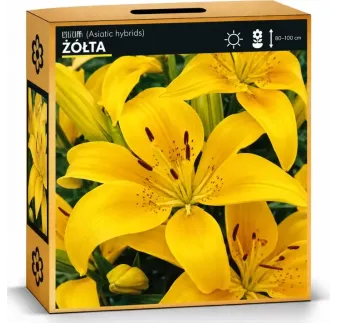 Ľalia Žltá