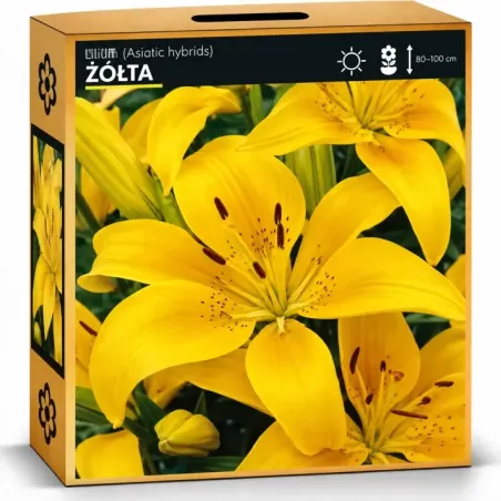 Ľalia Žltá