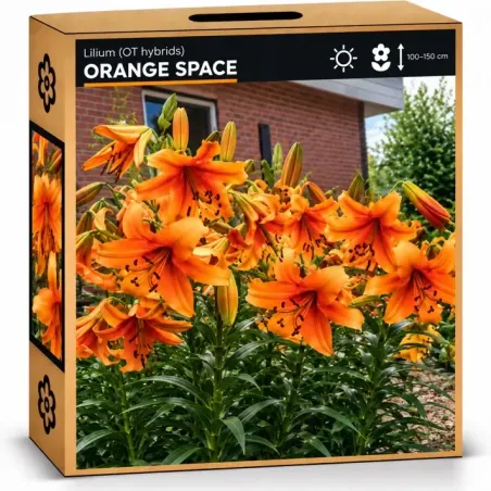 Ľalia Orange Space