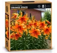 Ľalia Orange Space Ľalia Orange Space