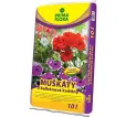 Substrát muškáty a balkónové kvety 10 l Primaflora