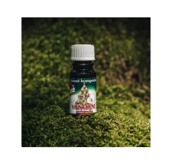 Vonný olej 10ml - Vianočná 10ml