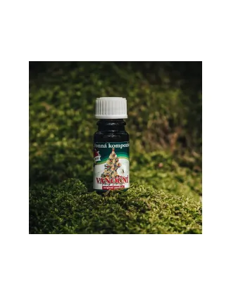Vonný olej 10ml - Vianočná 10ml