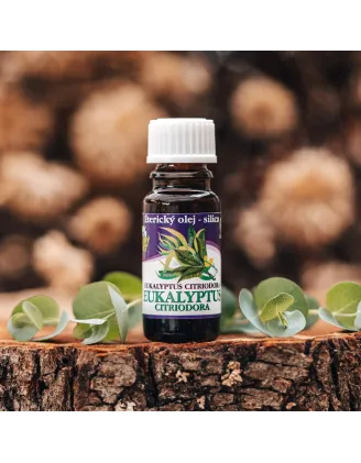 Eukalyptus citriodora – éterický olej