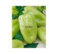 Paprika zeleninová Nova