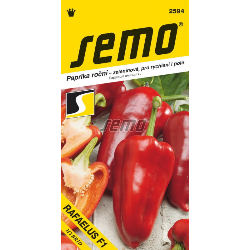 Paprika zeleninová Rafaelo F1