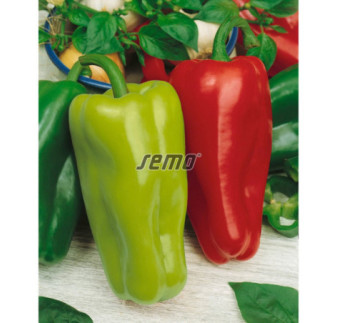 Paprika zeleninová Rubinova