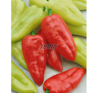 Paprika zeleninová Slovakia