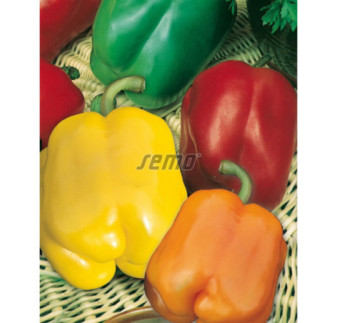 Paprika zeleninová Zmes farieb