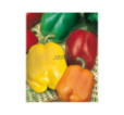 Paprika zeleninová Zmes farieb