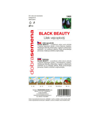 Baklazan Black Beauty
