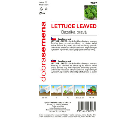 Bazalka Lettuce Leaved