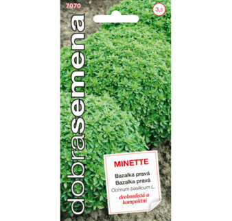 Bazalka prava Minette