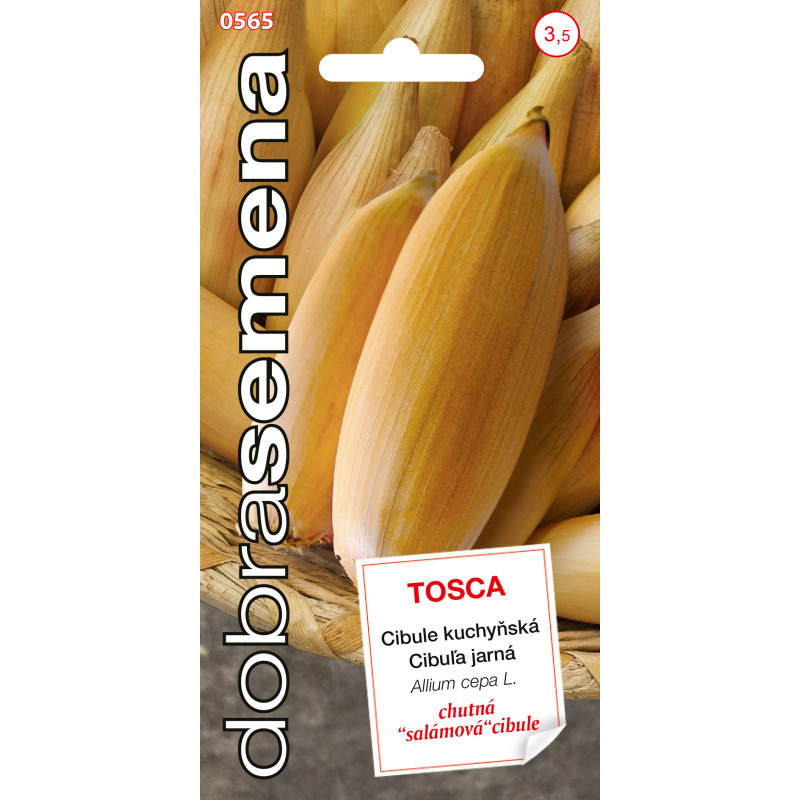 Cibuľa jarná Tosca