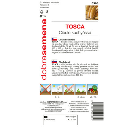 Cibuľa jarná Tosca