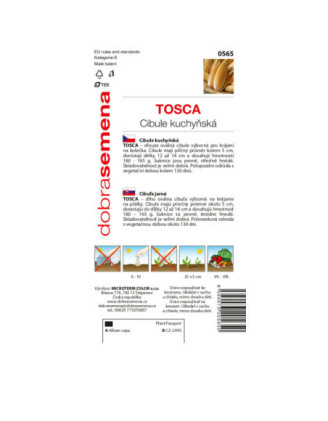 Cibula jarna Tosca