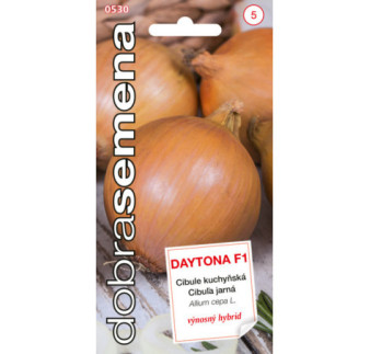 Cibula jarna Dajtona F1