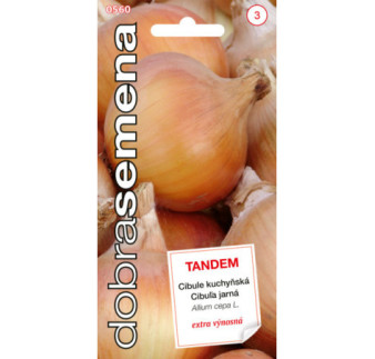 Cibula jarna Tandem
