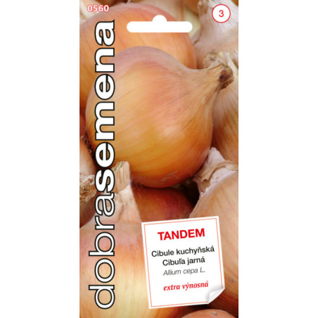 Cibula jarna Tandem