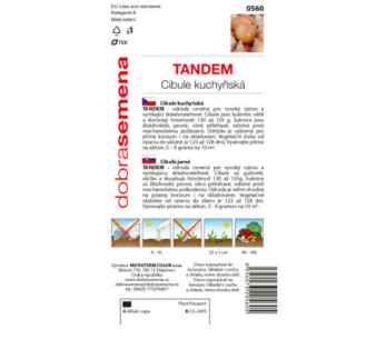 Cibuľa jarná Tandem