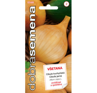 Cibula jarna Vsetana