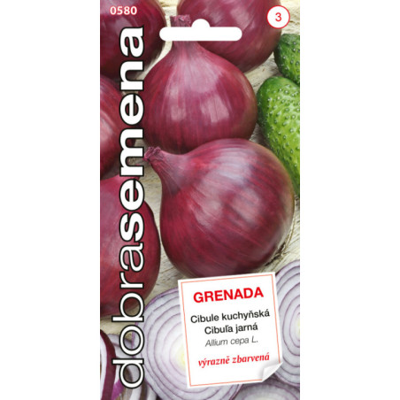 Cibula kuchynska Grenada