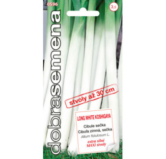 Cibula secka Long White Koshig