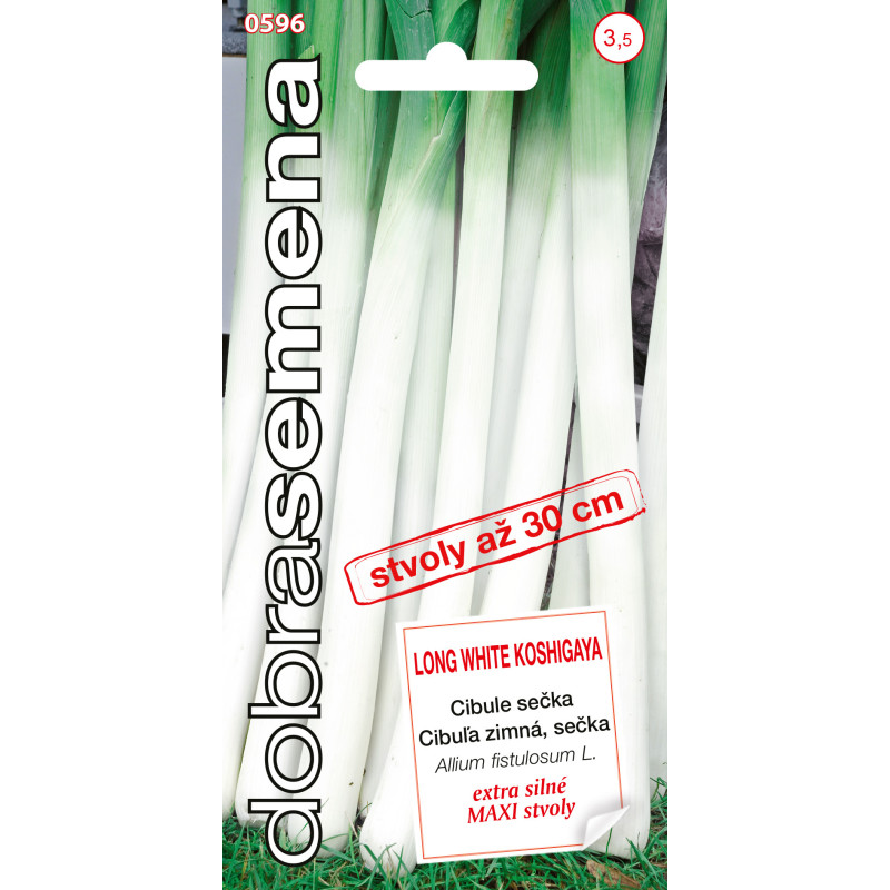 Cibuľa sečka Long White Koshig