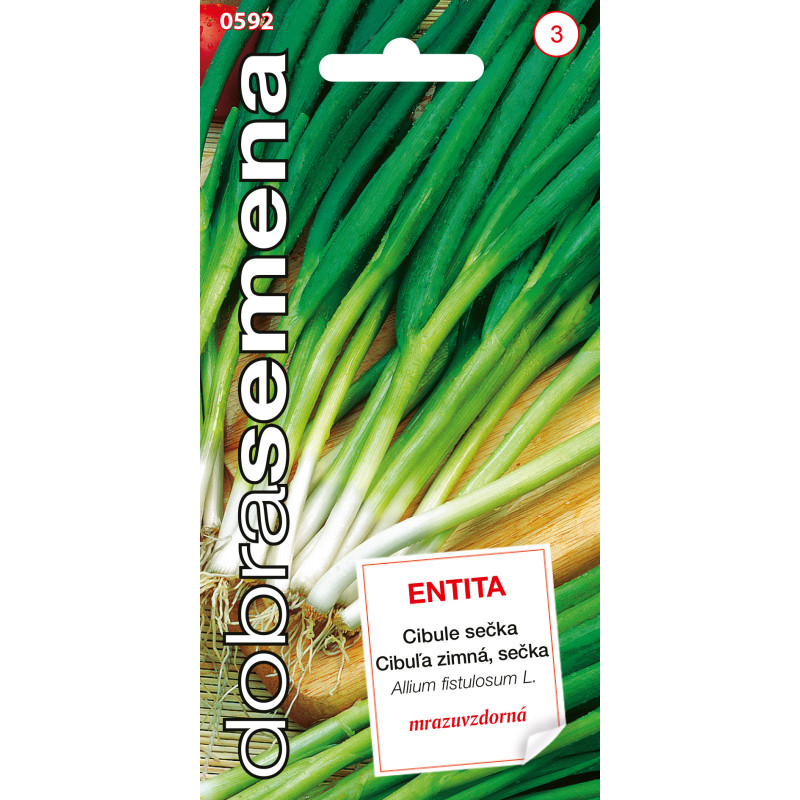 Cibuľa sečka zimná Entita