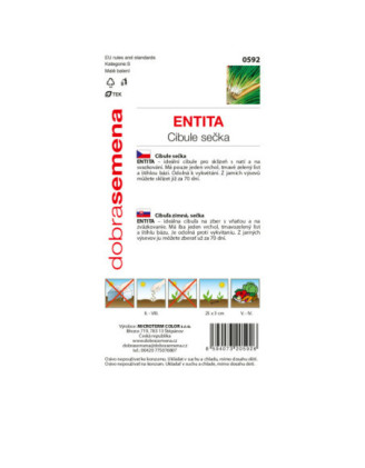 Cibula secka zimna Entita