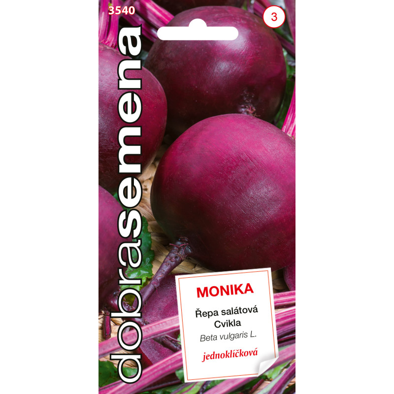 Cvikla šalátová Monika