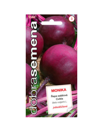 Cvikla salatova Monika