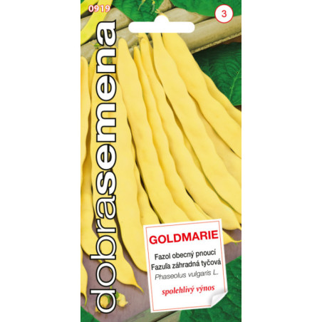 Fazula kolikova zltostruka Goldmarie