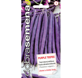 Fazula krickova sparglova Purple Teepee