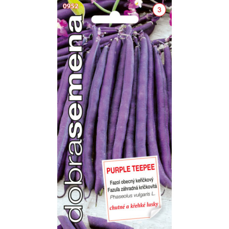 Fazula krickova sparglova Purple Teepee