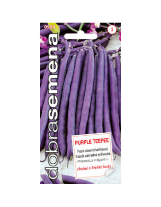 Fazula krickova sparglova Purple Teepee