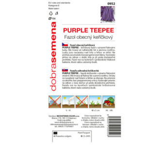 Fazuľa kríčková sparglova Purple Teepee