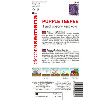 Fazuľa kríčková sparglova Purple Teepee
