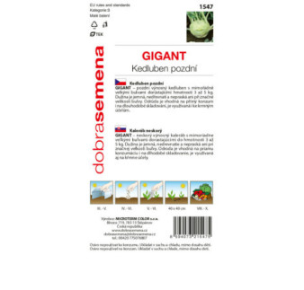Kaleráb biely neskorý Gigant