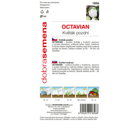 Karfiol neskorý Octavian g