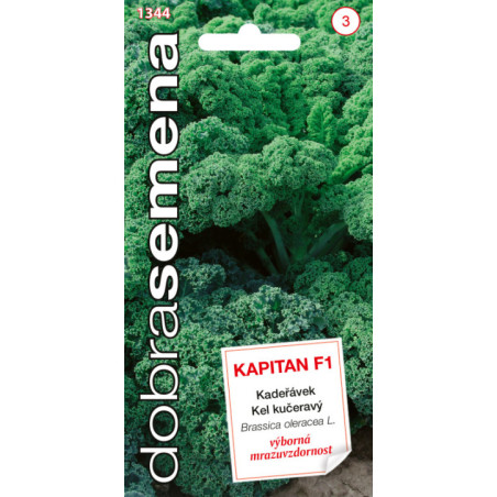 Kel kuceravy Kapitan F1