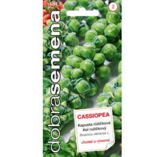 Kel ruzickovy Cassiopea