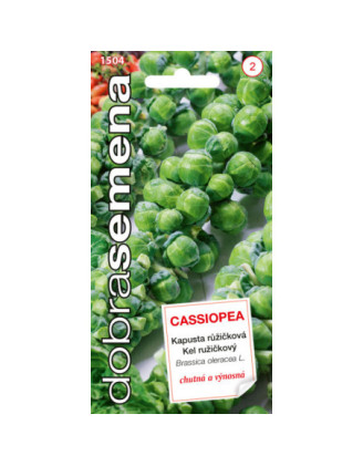 Kel ruzickovy Cassiopea