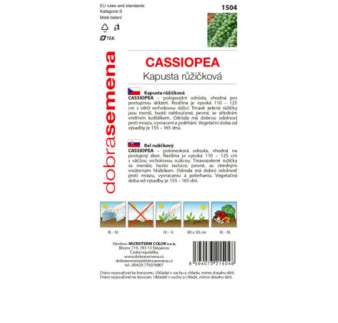 Kel ružičkový Cassiopea