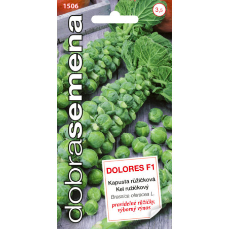 Kel ruzickovy Dolores F1