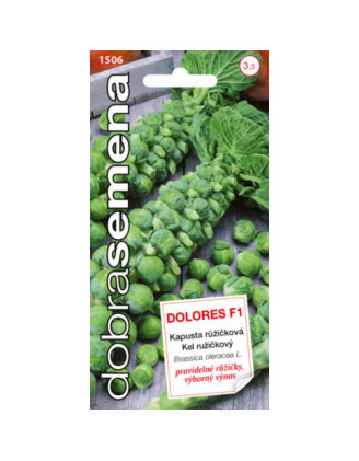 Kel ruzickovy Dolores F1